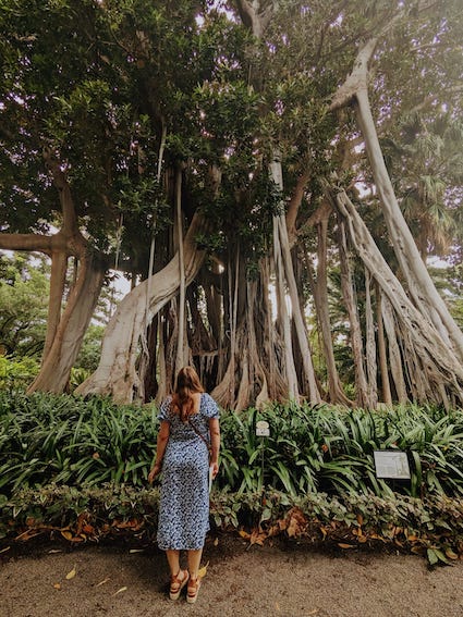 Me at the botanical garden looking at a tree.